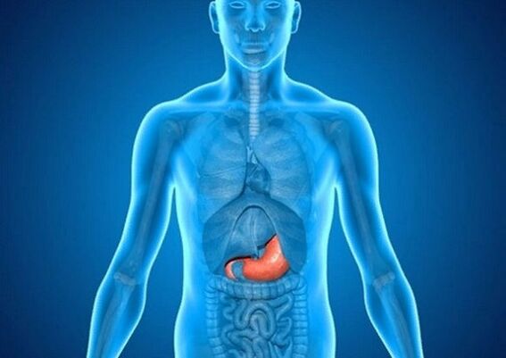 stomach ulcer as a cause of pain in the back under the left shoulder blade